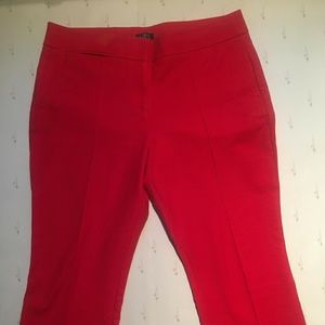 Ann Taylor LOFT petites